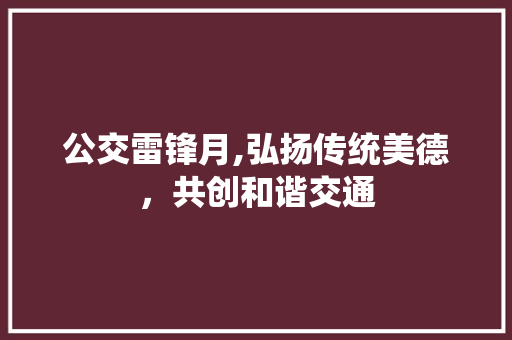 公交雷锋月,弘扬传统美德，共创和谐交通