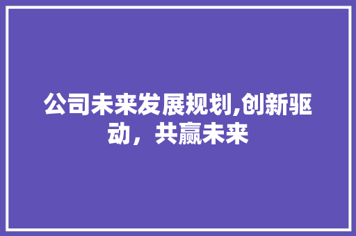 公司未来发展规划,创新驱动，共赢未来
