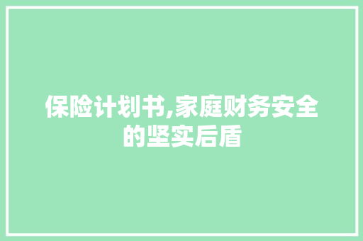 保险计划书,家庭财务安全的坚实后盾