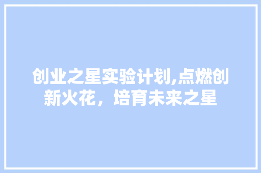 创业之星实验计划,点燃创新火花，培育未来之星