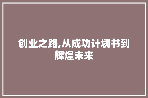 创业之路,从成功计划书到辉煌未来