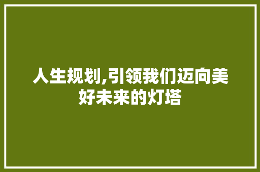 人生规划,引领我们迈向美好未来的灯塔