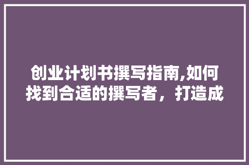创业计划书撰写指南,如何找到合适的撰写者，打造成功的商业蓝图