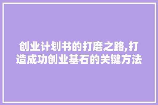创业计划书的打磨之路,打造成功创业基石的关键方法