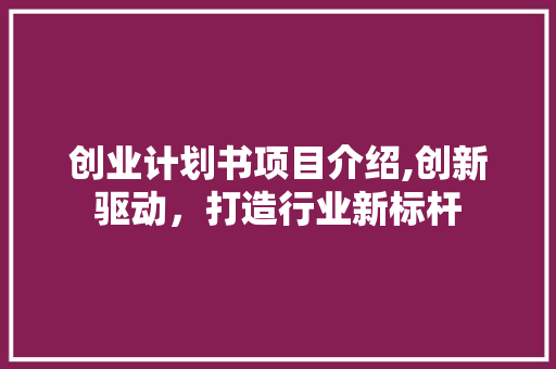 创业计划书项目介绍,创新驱动，打造行业新标杆 工作计划
