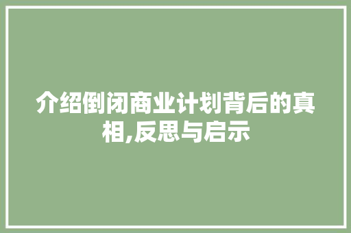 介绍倒闭商业计划背后的真相,反思与启示