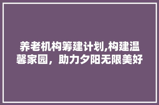 养老机构筹建计划,构建温馨家园，助力夕阳无限美好