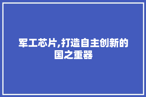 军工芯片,打造自主创新的国之重器 工作总结