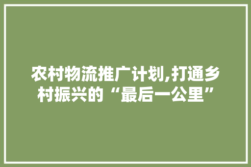 农村物流推广计划,打通乡村振兴的“最后一公里” 工作计划