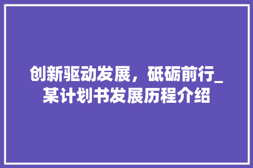 创新驱动发展，砥砺前行_某计划书发展历程介绍
