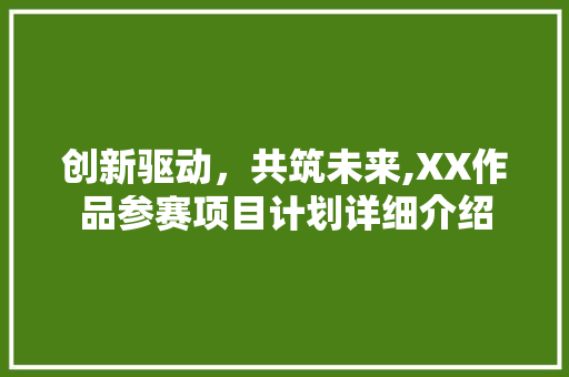 创新驱动，共筑未来,XX作品参赛项目计划详细介绍