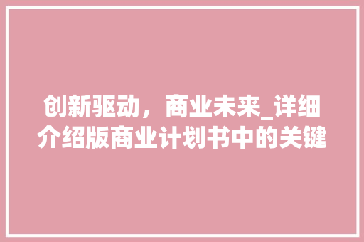创新驱动，商业未来_详细介绍版商业计划书中的关键词