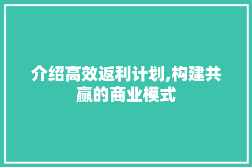 介绍高效返利计划,构建共赢的商业模式