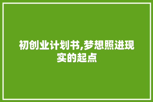初创业计划书,梦想照进现实的起点