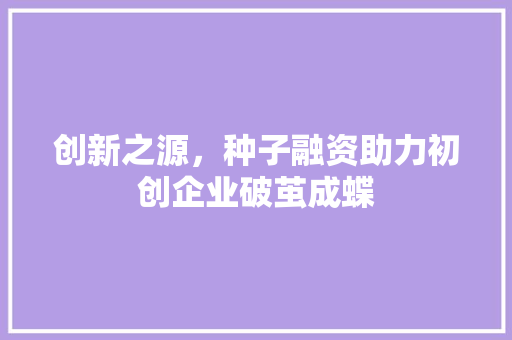 创新之源，种子融资助力初创企业破茧成蝶