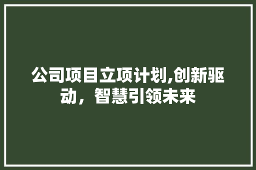 公司项目立项计划,创新驱动，智慧引领未来