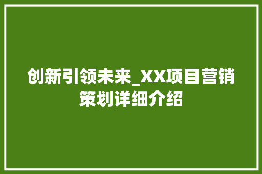 创新引领未来_XX项目营销策划详细介绍