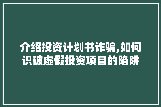 介绍投资计划书诈骗,如何识破虚假投资项目的陷阱