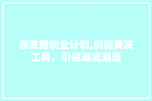 卷发筒创业计划,创新美发工具，引领潮流潮流 个人简历