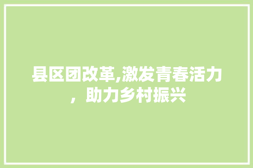 县区团改革,激发青春活力，助力乡村振兴 工作计划
