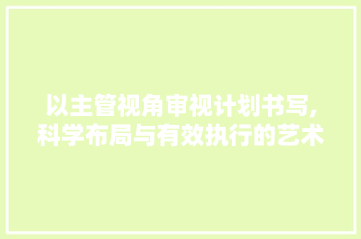 以主管视角审视计划书写,科学布局与有效执行的艺术