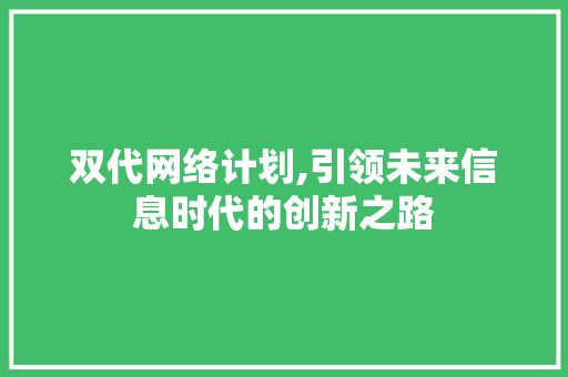双代网络计划,引领未来信息时代的创新之路