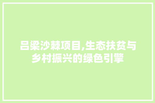 吕梁沙棘项目,生态扶贫与乡村振兴的绿色引擎