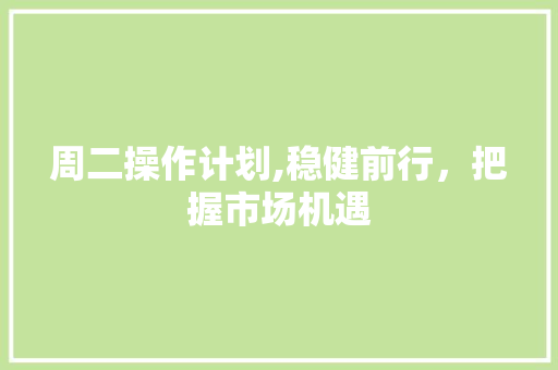 周二操作计划,稳健前行，把握市场机遇
