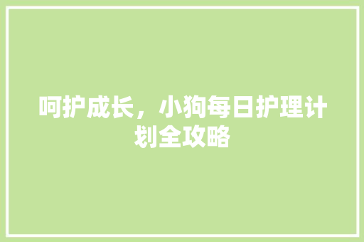 呵护成长，小狗每日护理计划全攻略