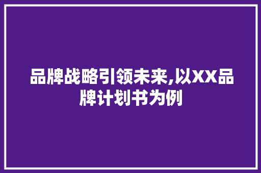 品牌战略引领未来,以XX品牌计划书为例