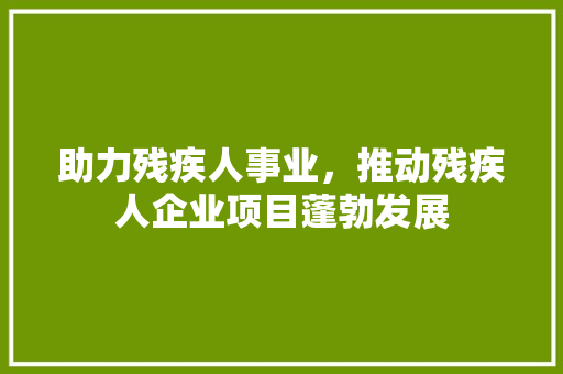 助力残疾人事业，推动残疾人企业项目蓬勃发展