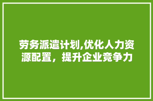劳务派遣计划,优化人力资源配置，提升企业竞争力
