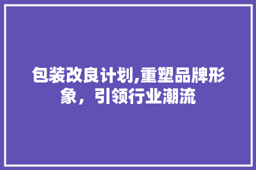 包装改良计划,重塑品牌形象，引领行业潮流