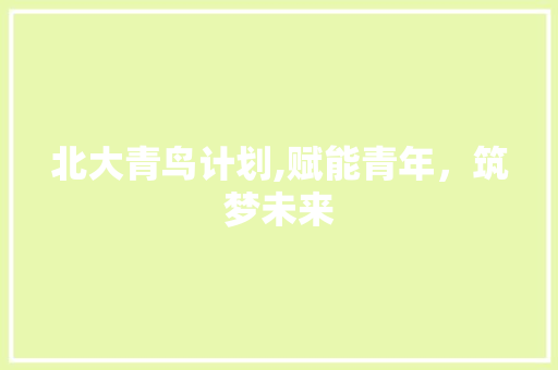 北大青鸟计划,赋能青年，筑梦未来
