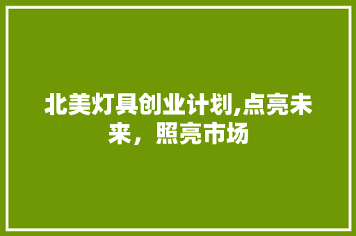 北美灯具创业计划,点亮未来，照亮市场