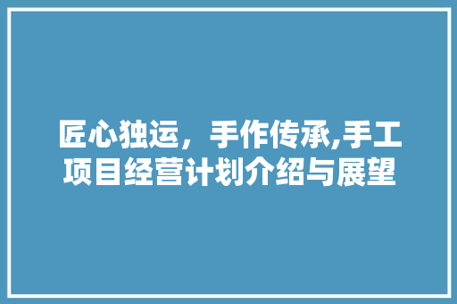 匠心独运，手作传承,手工项目经营计划介绍与展望 国学经典