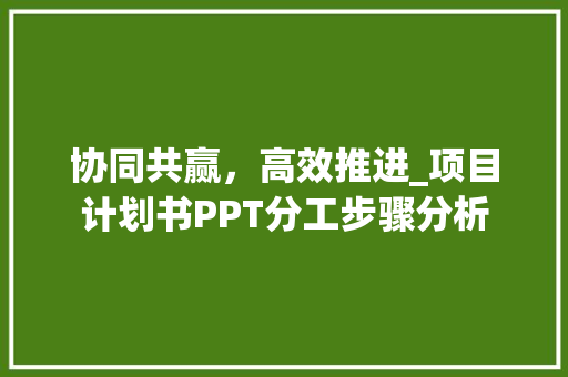 协同共赢，高效推进_项目计划书PPT分工步骤分析