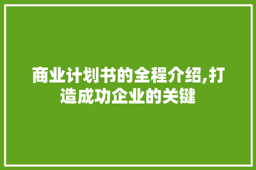 商业计划书的全程介绍,打造成功企业的关键