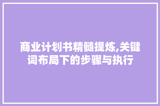 商业计划书精髓提炼,关键词布局下的步骤与执行