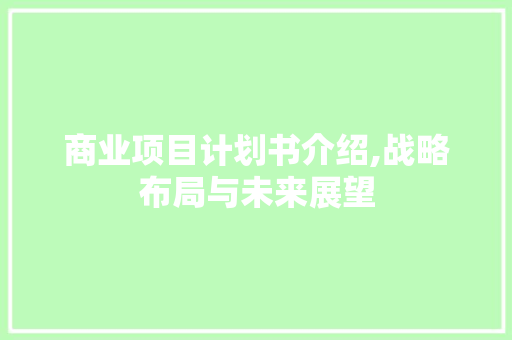 商业项目计划书介绍,战略布局与未来展望 国学经典