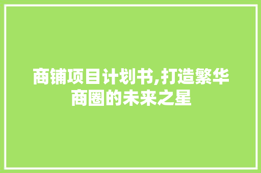 商铺项目计划书,打造繁华商圈的未来之星