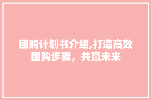 团购计划书介绍,打造高效团购步骤，共赢未来