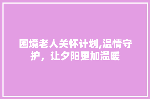 困境老人关怀计划,温情守护，让夕阳更加温暖