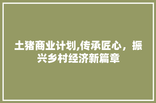 土猪商业计划,传承匠心，振兴乡村经济新篇章
