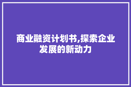 商业融资计划书,探索企业发展的新动力 工作计划