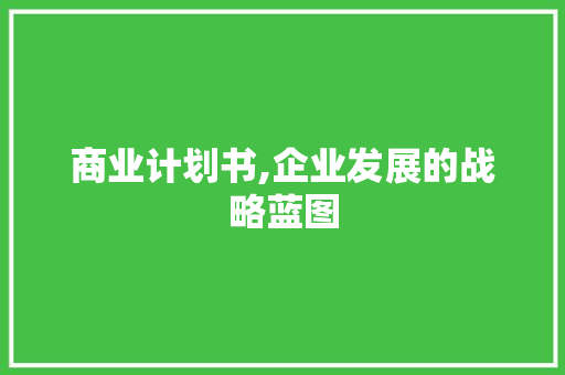 商业计划书,企业发展的战略蓝图