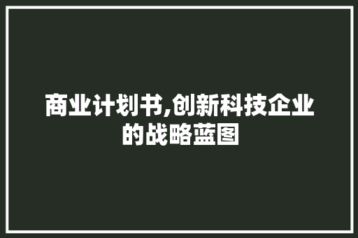 商业计划书,创新科技企业的战略蓝图