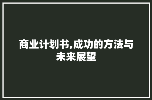 商业计划书,成功的方法与未来展望 演讲稿