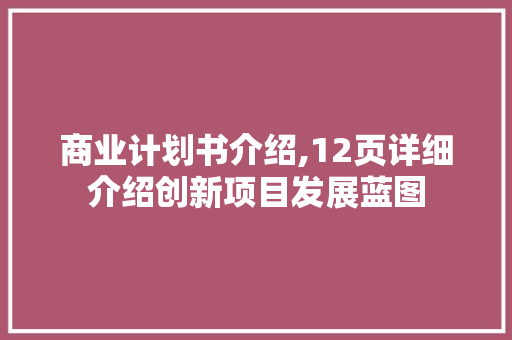 商业计划书介绍,12页详细介绍创新项目发展蓝图