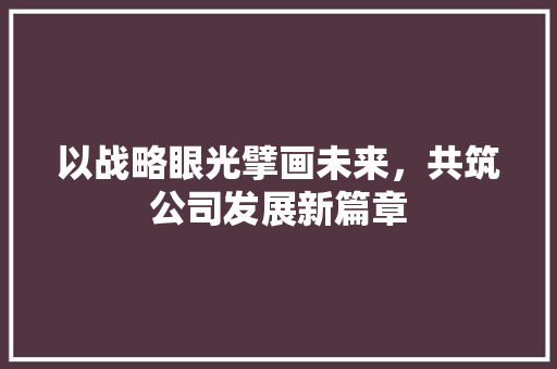 以战略眼光擘画未来，共筑公司发展新篇章 工作计划